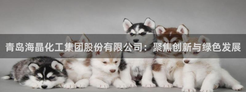 球盟会官方app首页入口
