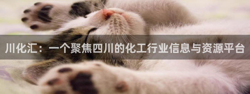 球盟会登录入口：川化汇：一个聚焦四川的化工行业信息与资源平台