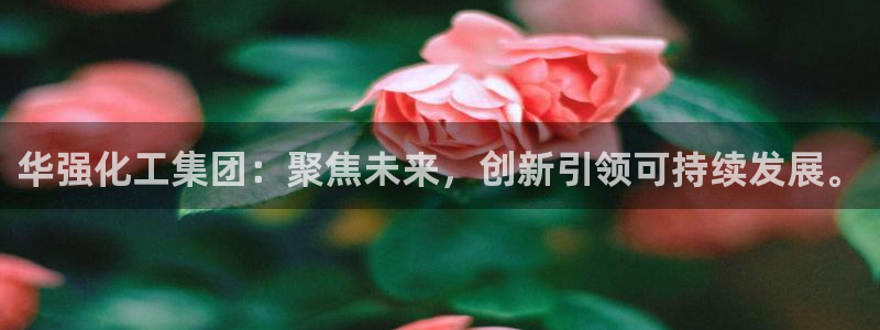 球盟会qmh网页版登录：华强化工集团：聚焦未来，创新引领可持