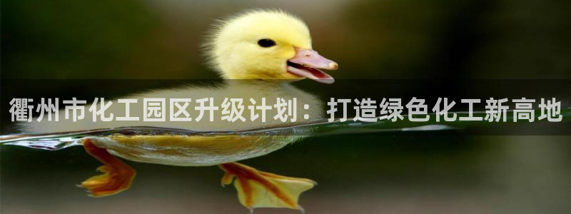球盟会和中欧