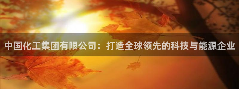 球盟会网页登录：中国化工集团有限公司：打造全球领先的科技与能