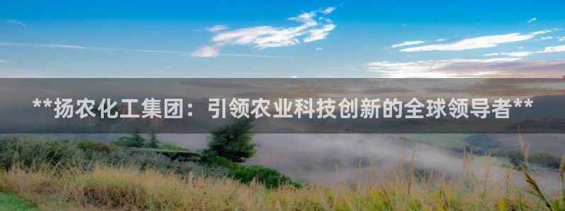 球盟会官方网站：**扬农化工集团：引领农