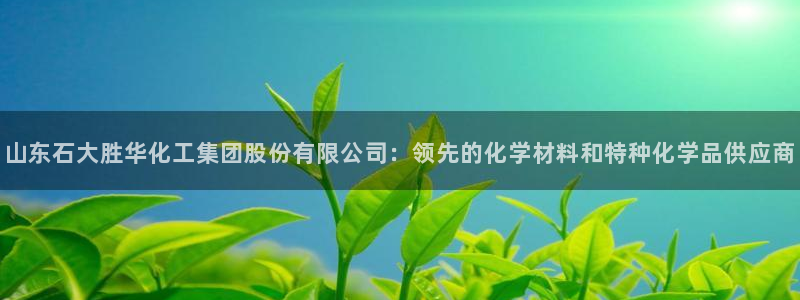 球盟会网页登录：山东石大胜华化工集团股份