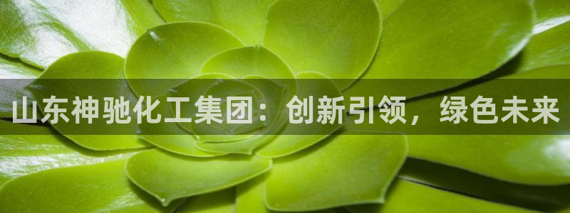 球盟会头号玩家是谁：山东神驰化工集团：创