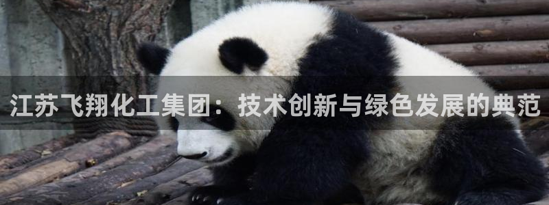 球盟会qmh：江苏飞翔化工集团：技术创新与绿色发展的典范