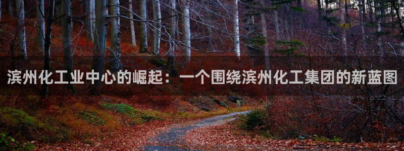 球盟会黑：滨州化工业中心的崛起：一个围绕滨州化工集团的新蓝图