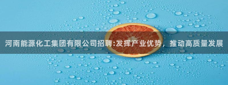 球盟会论坛：河南能源化工集团有限公司招聘:发挥产业优势，推动