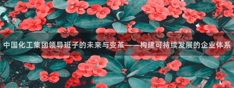 球盟会黑网：中国化工集团领导班子的未来与变革——构建可持续发