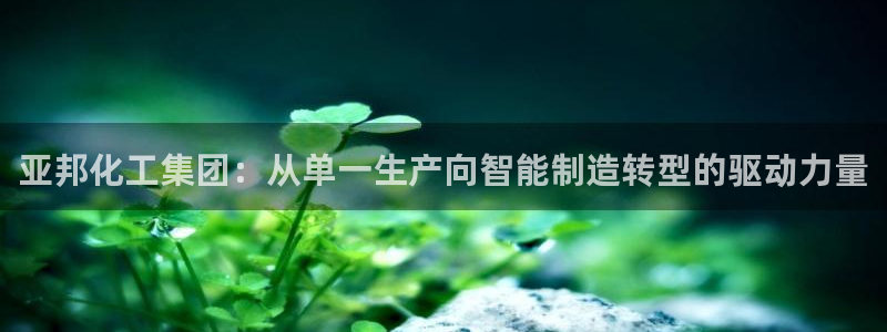 球盟会qmh - 球盟会官方网站：亚邦化工集团：从单一生产向