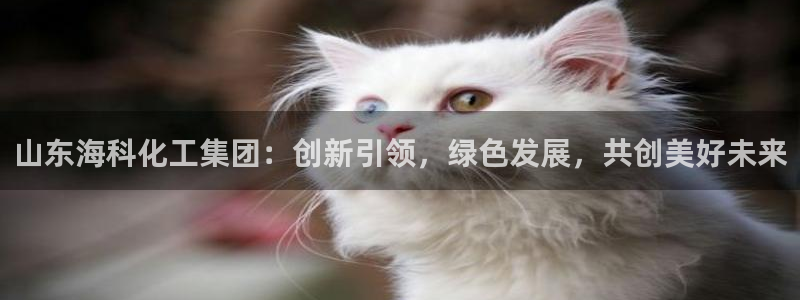 球盟会登陆入口：山东海科化工集团：创新引领，绿色发展，共创美