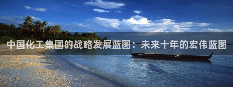 球盟会提款支付宝怎么样：中国化工集团的战略发展蓝图：未来十年