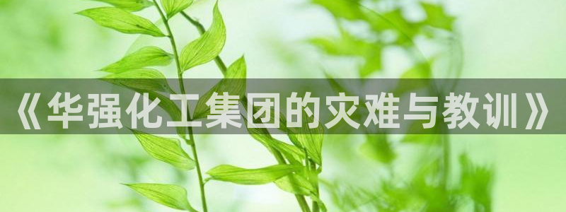 球盟会登录平台：《华强化工集团的灾难与教训》
