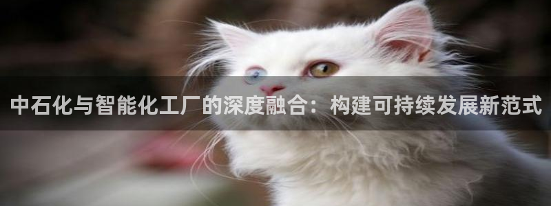 千亿球盟会乐玩：中石化与智能化工厂的深度