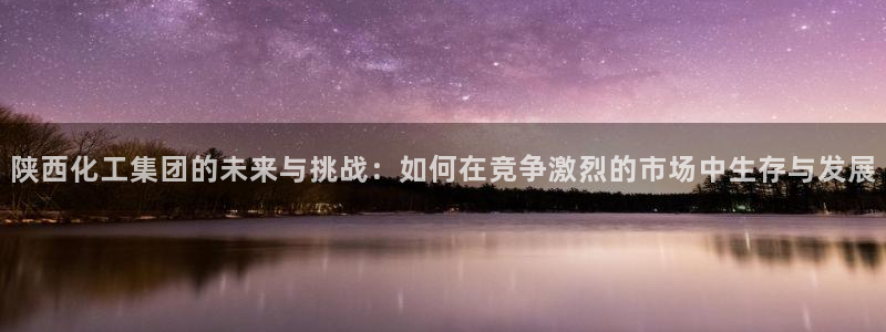 球盟会官方登录平台：陕西化工集团的未来与挑战：如何在竞争激烈