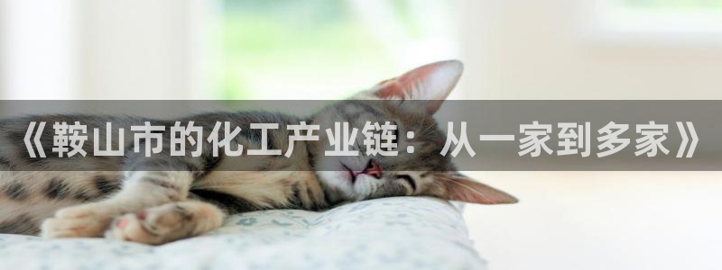 球盟会官方最新入口：《鞍山市的化工产业链