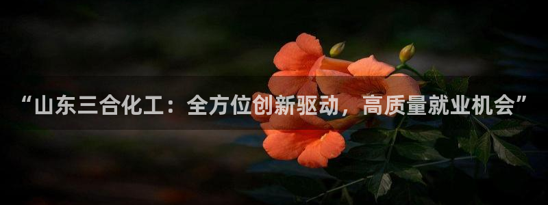 球盟会进不去：“山东三合化工：全方位创新