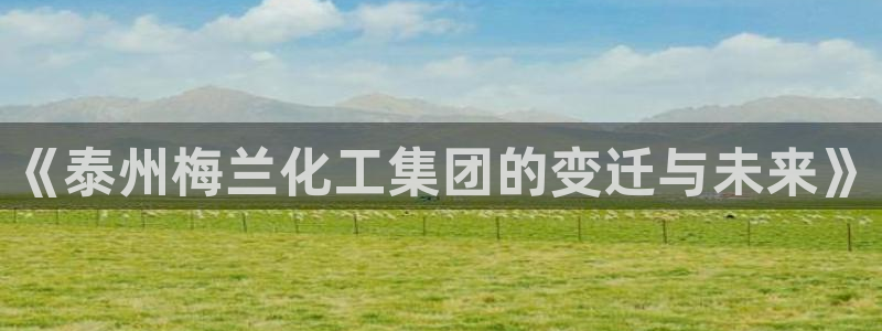 球盟会优惠领取网站：《泰州梅兰化工集团的变迁与未来》