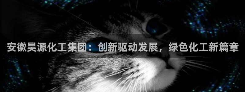 球盟会qm：安徽昊源化工集团：创新驱动发展，绿色化工新篇章