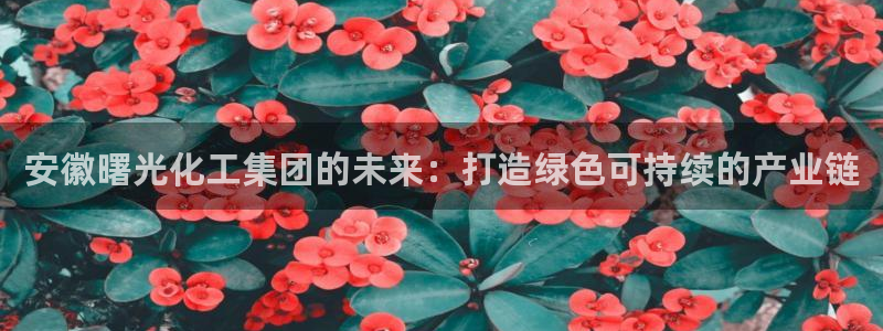球盟会qmh网址：安徽曙光化工集团的未来：打造绿色可持续的产