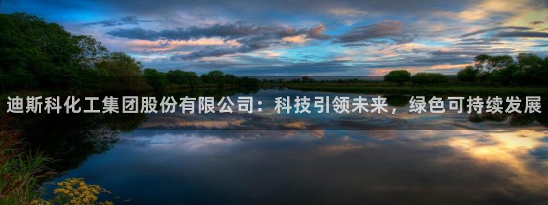 球盟会官方平台入口：迪斯科化工集团股份有