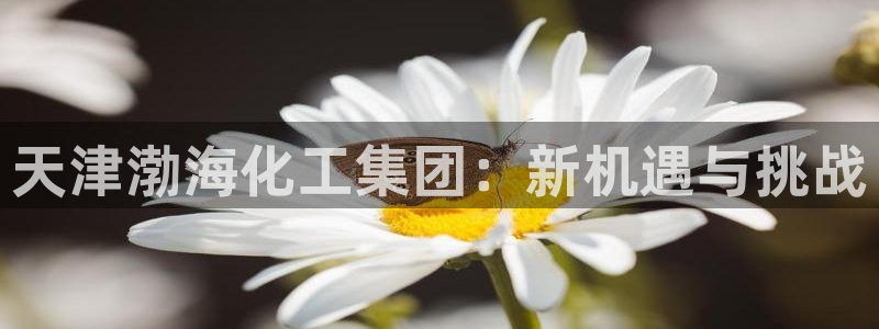 球盟会优惠码：天津渤海化工集团：新机遇与挑战