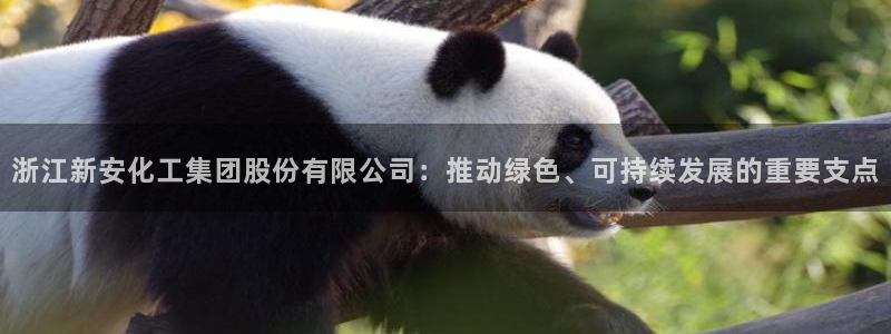 球盟会优惠码：浙江新安化工集团股份有限公司：推动绿色、可持续