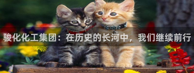 球盟会体育平台：骏化化工集团：在历史的长河中，我们继续前行
