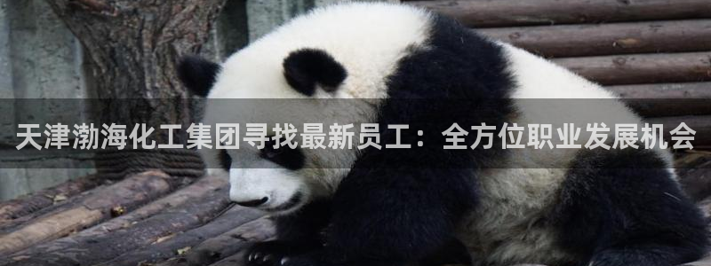 球盟会网页登录入口：天津渤海化工集团寻找最新员工：全方位职业