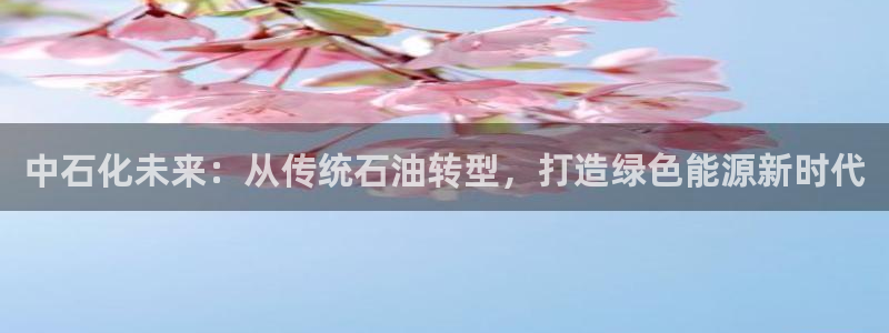球盟会和中欧会的区别：中石化未来：从传统石油转型，打造绿色能