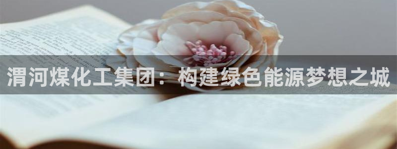 球盟会体育平台：渭河煤化工集团：构建绿色能源梦想之城