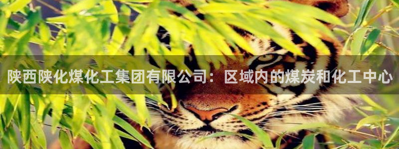 球盟会app最新地址下载安装