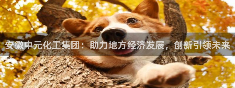 球盟会有没有黑单的球员：安徽中元化工集团：助力地方经济发展，