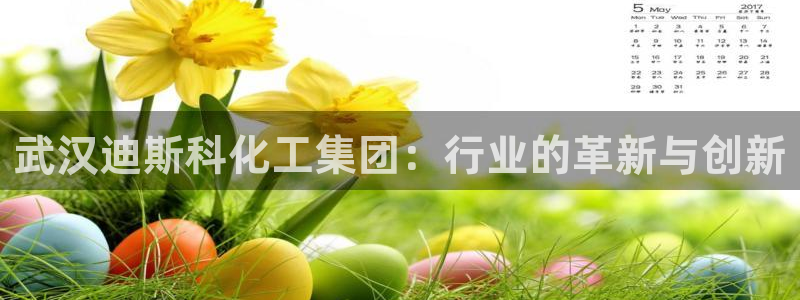 球盟会平台会黑单吗：武汉迪斯科化工集团：行业的革新与创新