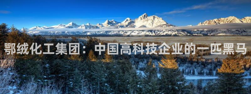 球盟会有没有黑单的活动：鄂绒化工集团：中国高科技企业的一匹黑
