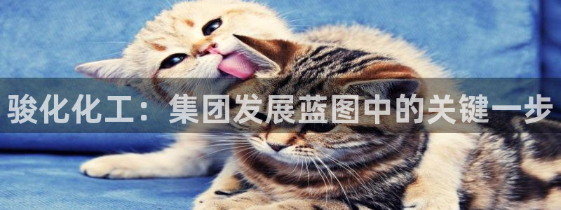 球盟会app最新地址在哪找：骏化化工：集团发展蓝图中的关键一