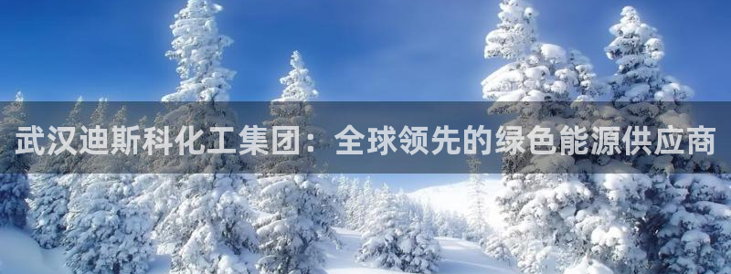 球盟会登录平台：武汉迪斯科化工集团：全球领先的绿色能源供应商