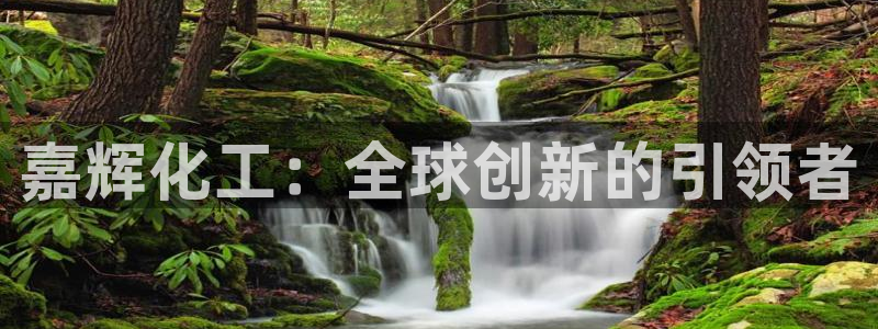 球盟会可靠不：嘉辉化工：全球创新的引领者