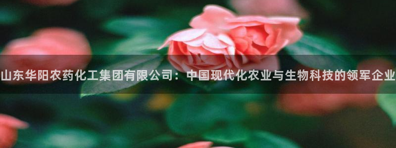 球盟会网页登录入口：山东华阳农药化工集团有限公司：中国现代化