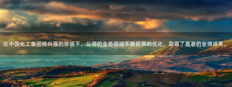 球盟会和中欧会的区别：在中国化工集团杨兴强的带领下，公司的业