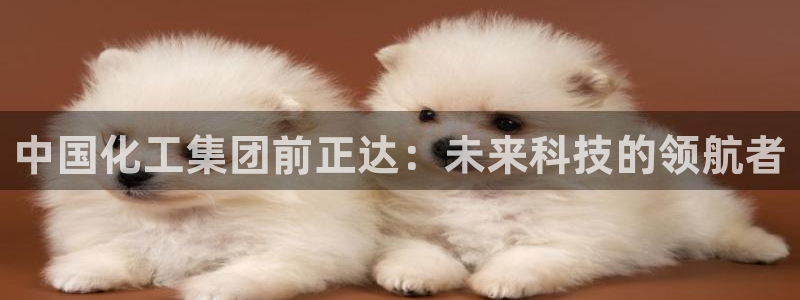 球盟会可以提现么现在：中国化工集团前正达：未来科技的领航者