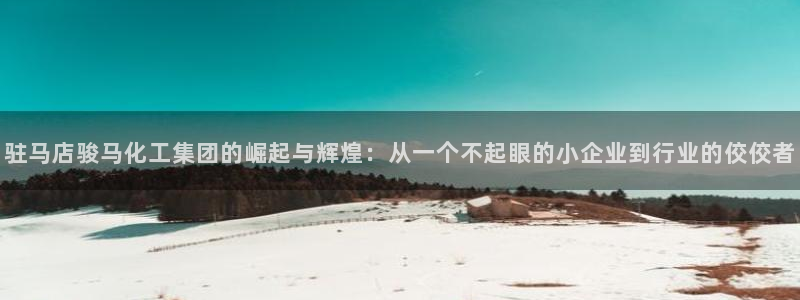 球盟会可以提现么现在：驻马店骏马化工集团的崛起与辉煌：从一个