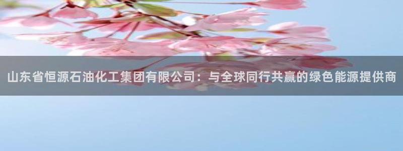 球盟会在线网站：山东省恒源石油化工集团有限公司：与全球同行共