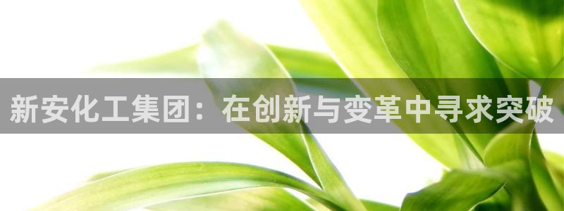 球盟会官方登录平台：新安化工集团：在创新与变革中寻求突破