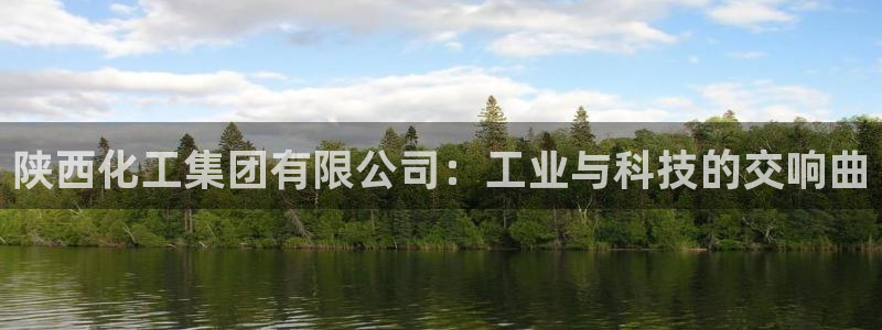 球盟会里面有打牌的嘛：陕西化工集团有限公司：工业与科技的交响