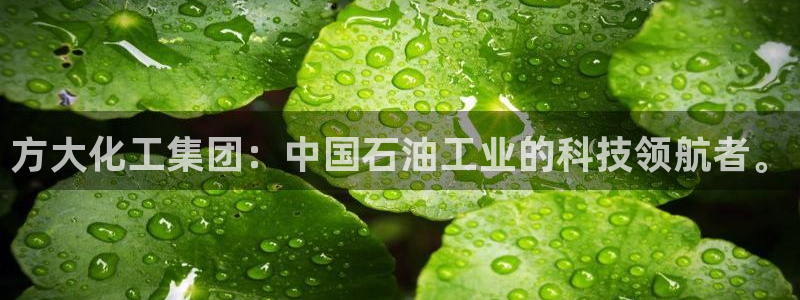 球盟会类似的网站：方大化工集团：中国石油工业的科技领航者。