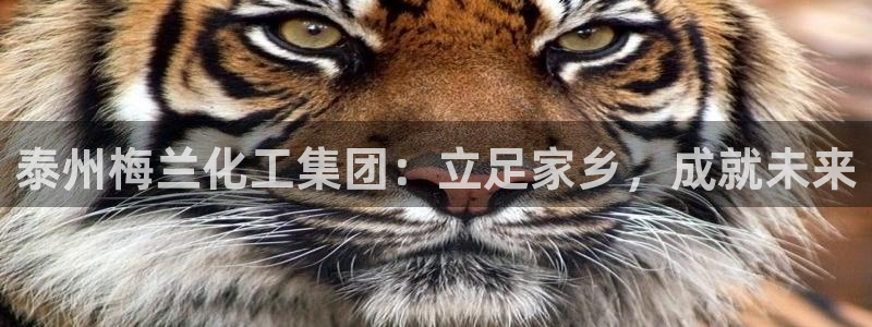 球盟会优惠领取网站：泰州梅兰化工集团：立足家乡，成就未来