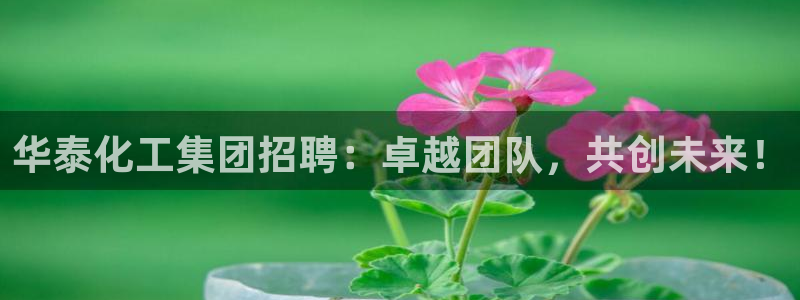 球盟会优惠码：华泰化工集团招聘：卓越团队，共创未来！