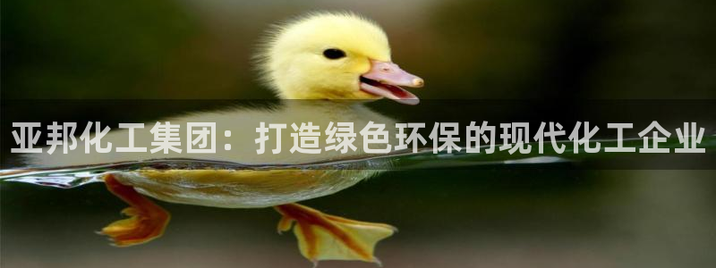 球盟会最新地址备用