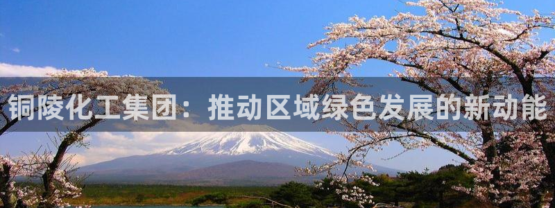球盟会qm8597：铜陵化工集团：推动区域绿色发展的新动能