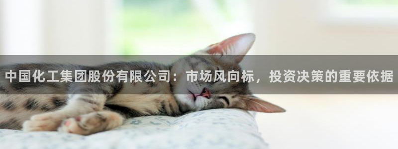 球盟会官方：中国化工集团股份有限公司：市场风向标，投资决策的